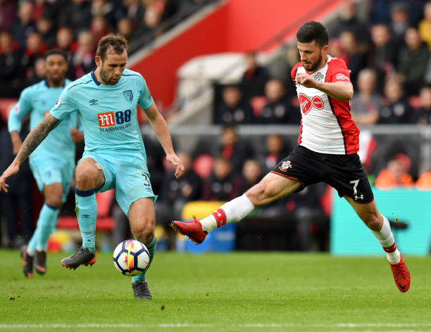 皇家社会在 皇家社会在