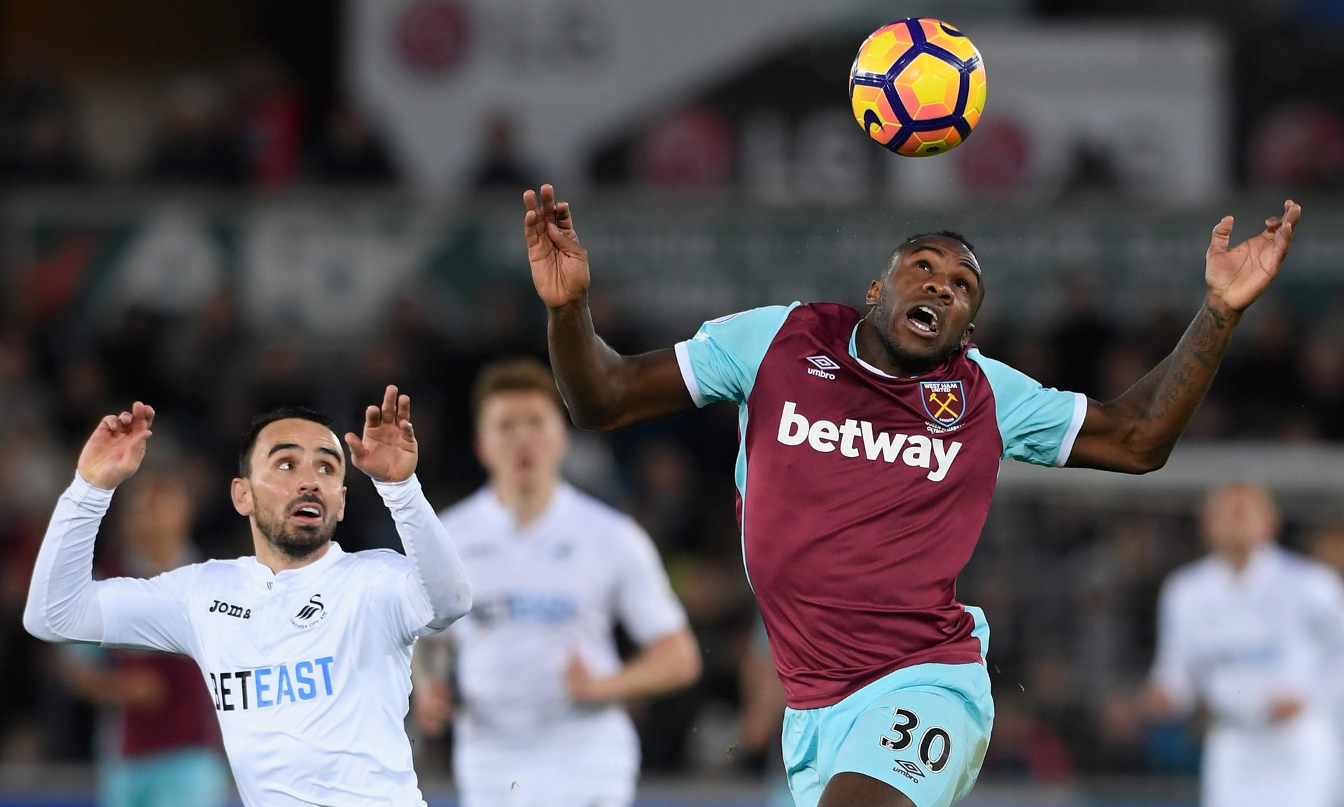 德国足球激 德国足球激